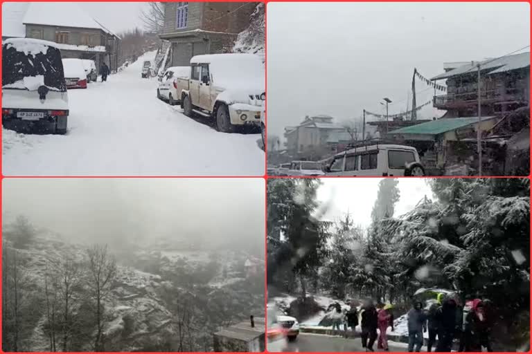 Snowfall In Himachal