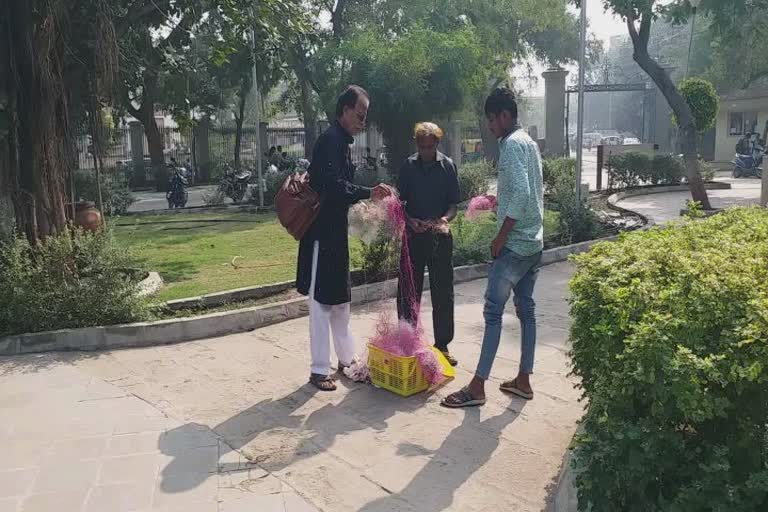 Kite String Killing Birds: પક્ષીઓને બચાવવા માટે 10 વર્ષથી પતંગની દોરીઓ એકઠી કરી રહ્યા છે ભાવનગરના હરિભાઈ