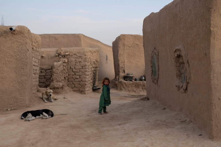 Millions of Afghans displaced