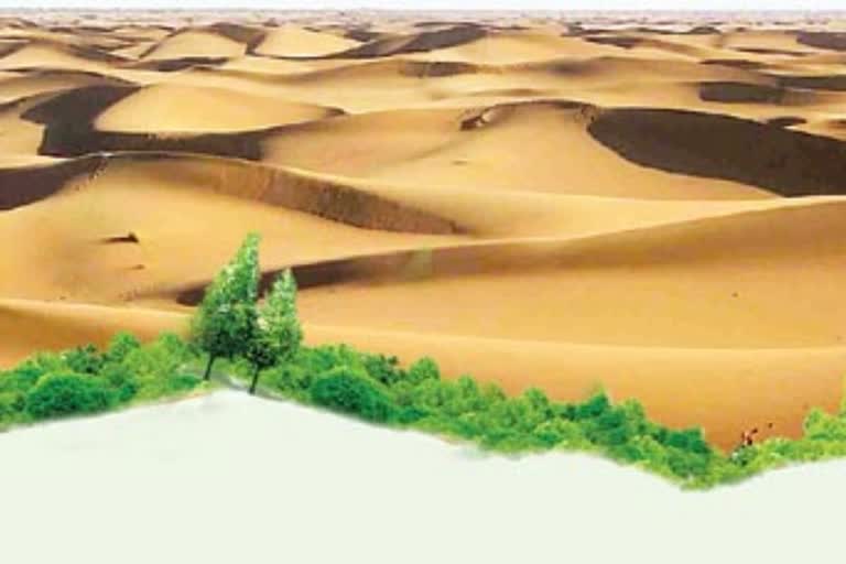 Africa's 'Great Green Wall' aims to slow desert sands