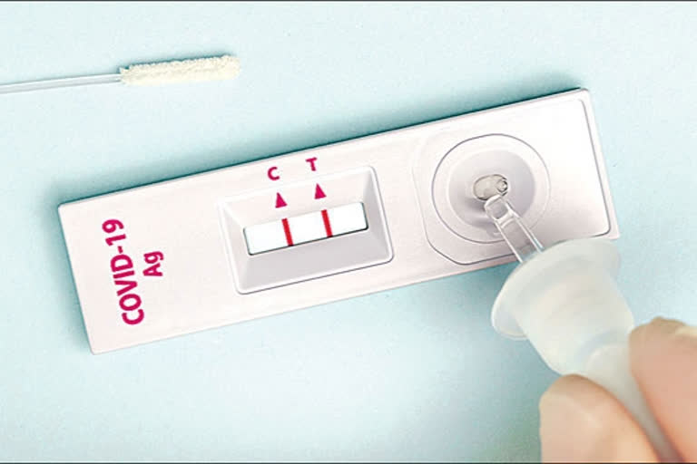 Corona test at home kit, covid test kit cost