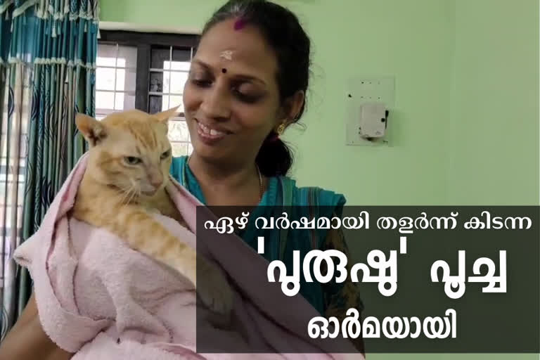 Pet cat Purushu died  visually and physically challenged cat no more  Pet cat purushu no more Ambalanada  പുരുഷു പൂച്ച ചത്തു  ഏഴ് വര്‍ഷമായി തളര്‍ന്ന് കിടന്ന പൂച്ച ചത്തു  പുലൂര്‍ അമ്പലനടയിലെ ശരീരം തളര്‍ന്ന പൂച്ച ചത്തു