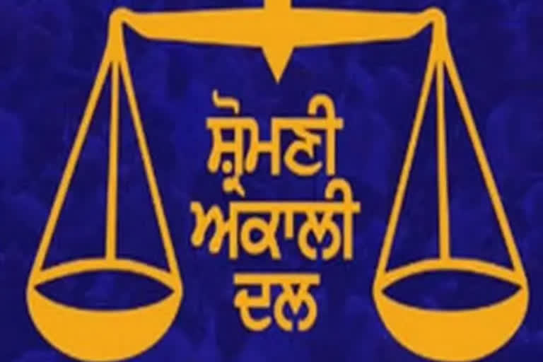 ਇੱਕ ਸੀਟ ਹੋਣ ਦੇ ਬਾਵਜੂਦ ਅਕਾਲੀ ਦਲ ਬਣ ਸਕਦੈ ਕਿੰਗ ਮੇਕਰ