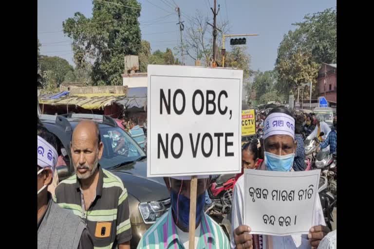 obc protest in balangir