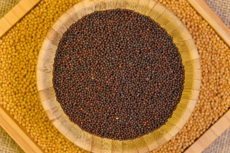 use of mustard seeds is beneficial for weight loss, nutrition tips, foods that help in weight loss, वजन कम करने में लाभकारी हो सकता है राई का इस्तेमाल