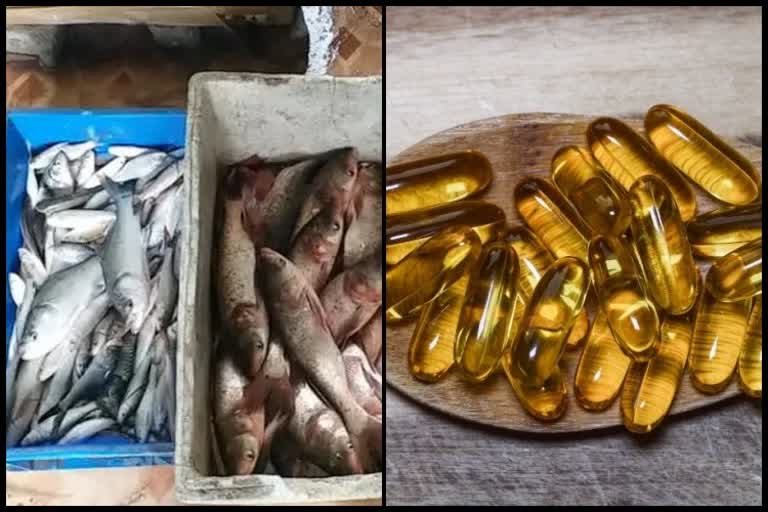 Consumption of fish oil or cod liver oil can be beneficial for health in many ways
