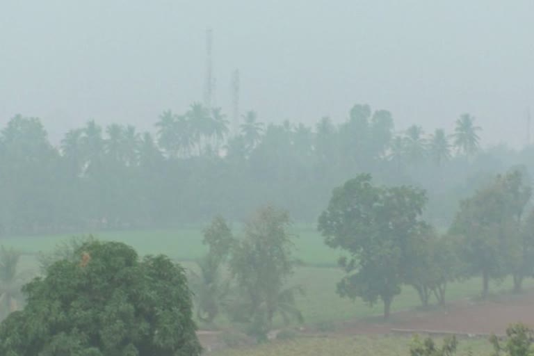 Seasonal rainfall forecast in Gujarat: રાજ્યમાં આજે કમોસમી વરસાદની આગાહી, ભર શિયાળે વરસાદી માહોલ