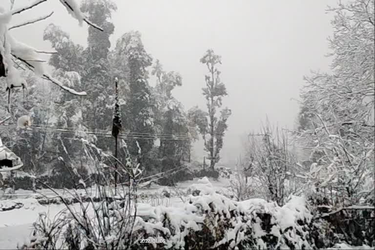 Snowfall Threw Life out of Gear in Poonch:’برفباری کے دوران بنیادی سہولیات کی فراہمی کو یقینی بنایا جائے‘