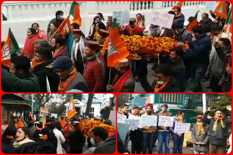 Chandigarh BJP counciliors in shimla