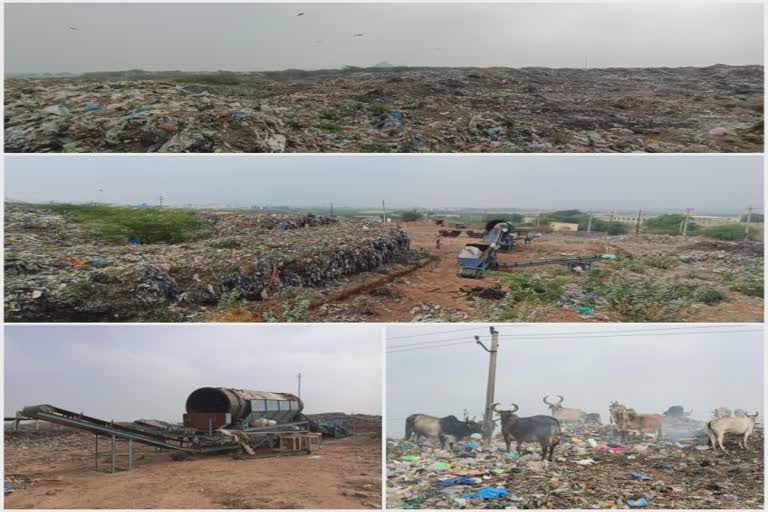 Bhuj dumping station: ભુજ ડમ્પિંગ સાઈટનો સર્જાતો પહાડ પશુઓ તથા શહેરીજનો માટે નુકસાનકારક