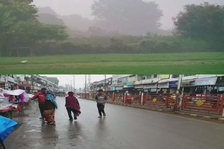 Unseasonal Rains In Patan : જિલ્લામાં ઊભો પાક નથી પણ જીવાતની ચિંતામાં ખેડૂતો