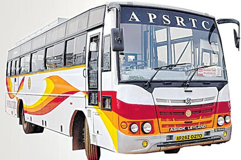 specail busses for sankranti