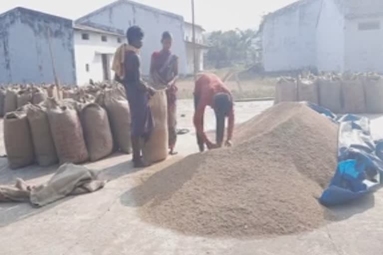 Purchase of organic paddy is not happening at Dantewada procurement center