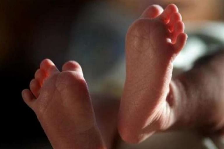 Frightening facts behind the infant deaths in Rudakota  Mysterious death of infants in Vishakhapatnam of Andhra Pradesh  Expert study finds shocking facts behind Rudakota infant deaths  ആന്ധ്രപ്രദേശ്‌ വിശാഖപട്ടണം നവജാത ശിശുക്കളുടെ മരണം  വിദഗ്‌ധ സമിതി കണ്ടെത്തലുകള്‍