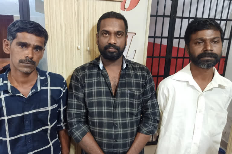 murder attempt against youth defendants arrested  palakkad murder attempt  പാലക്കാട് യുവാവിനെ കുത്തികൊലപ്പെടുത്താൻ ശ്രമം  കൊലപാതക ശ്രമത്തിന് പ്രതികൾ പിടിയിൽ