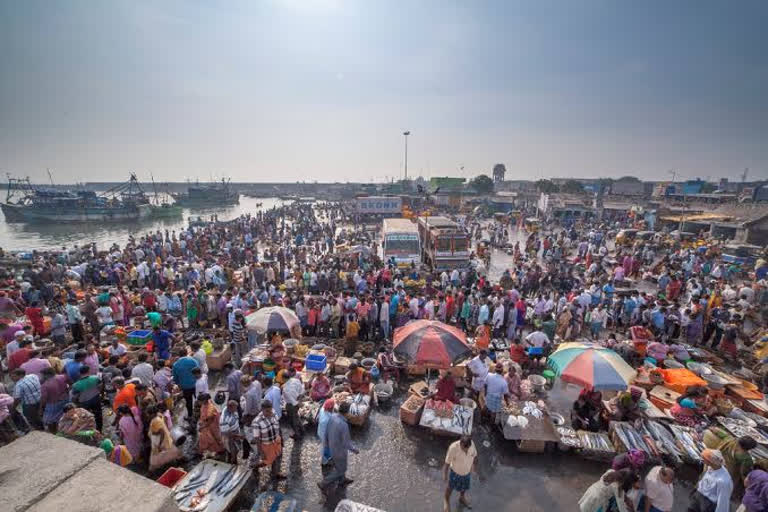 காசிமேட்டில் மீன் விற்பனைக்கு மீண்டும் நேர கட்டுப்பாடுகள்