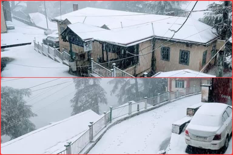 Snowfall In Shimla