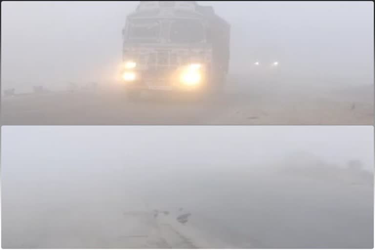 dense fog in koderma