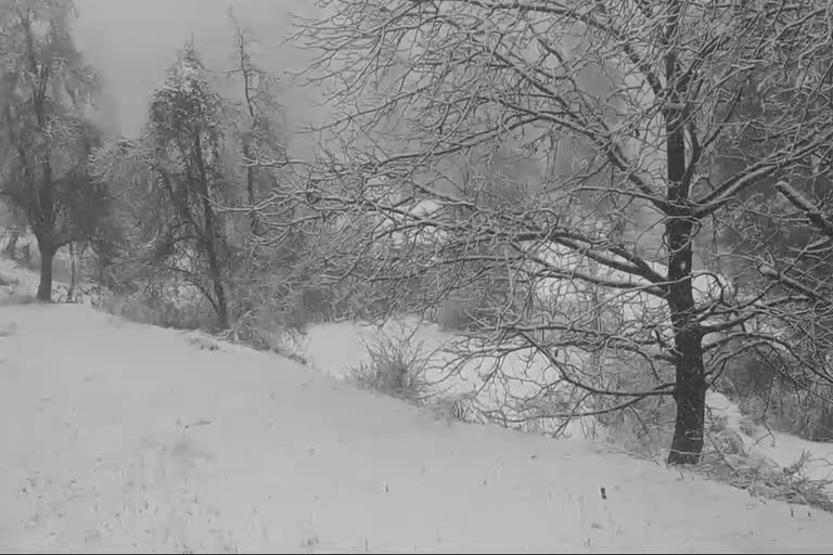 Snowfall in Kashmir