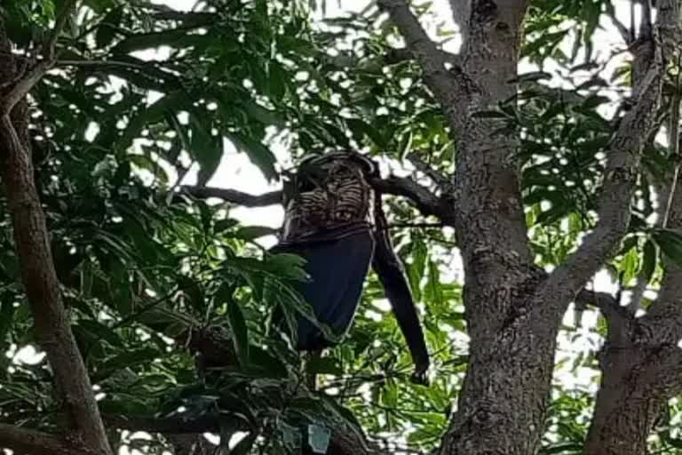 Male skeleton found on tree in Balrampur