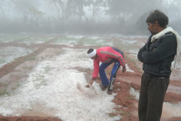 mp rain hailstorm