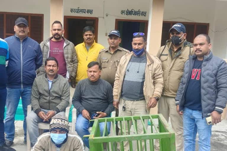 uttarakhand stf arrested an accused in pangolin smuggling case