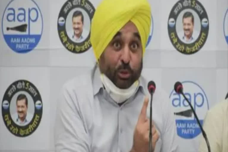 AAP MP Bhagwant Mann to contest Punjab Assembly Election