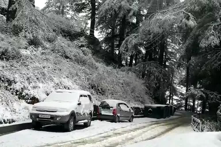 Snowfall in Himachal Pradesh