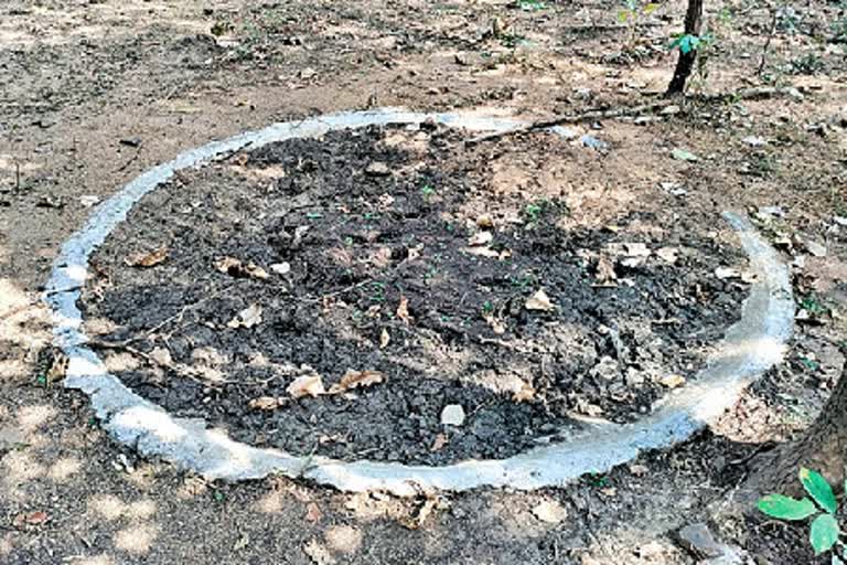 Water Holes in Telangana Forests