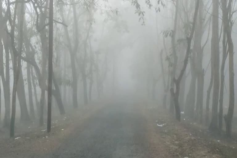 gourela-pendra-marwahi-covered-with-dense-fog