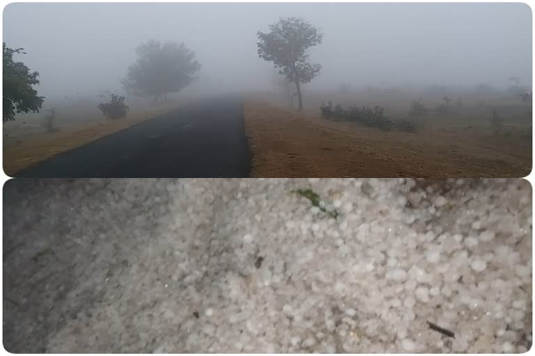 cold in mp due to fog