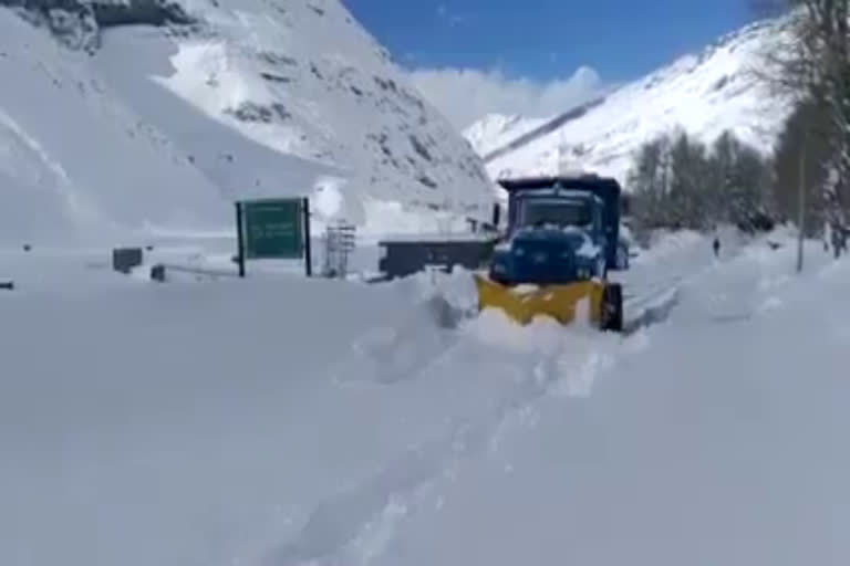 avalanche in Lahaul Spiti