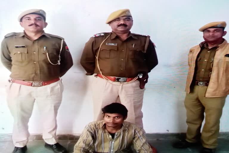 brother murder in Udaipur, Rajasthan crime news