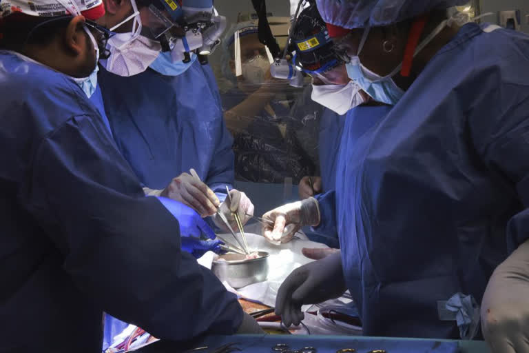 In a medical first, doctors transplanted a pig heart into a patient