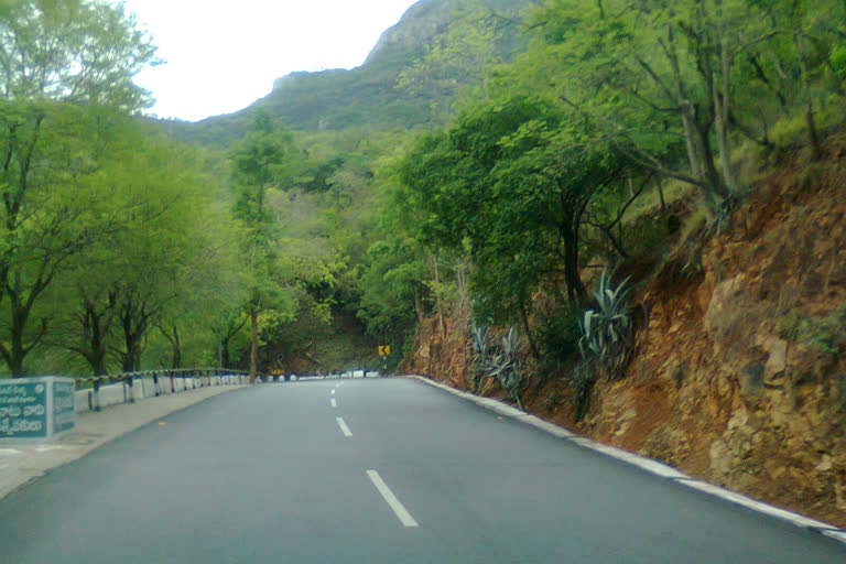 tirumala kanuma dhari reopened