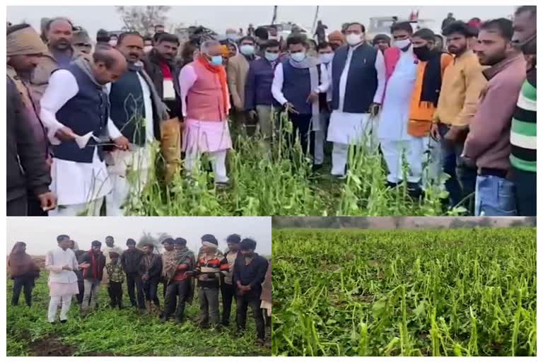 Minister taking stock of crop destruction