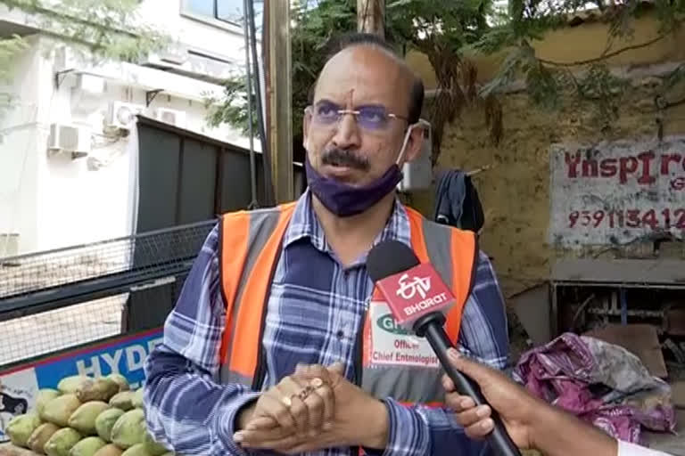 Ghmc Entomology Chief Interview