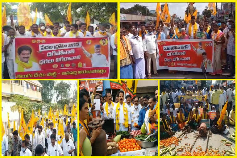 TDP Statewide Dharna on rates hike