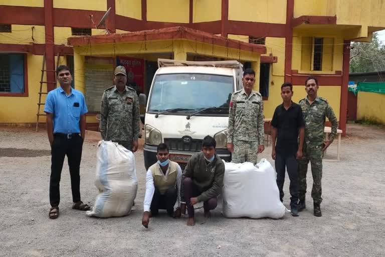 Illegal Hemp caught in Bastar