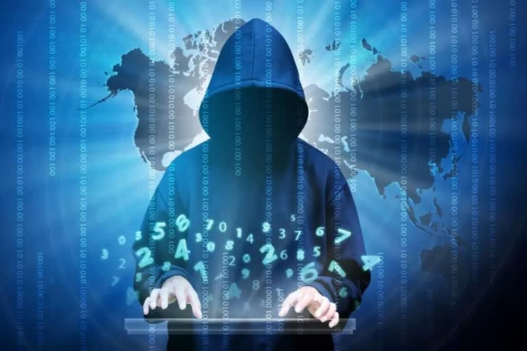 Cyber ​​fraud in Rohtak