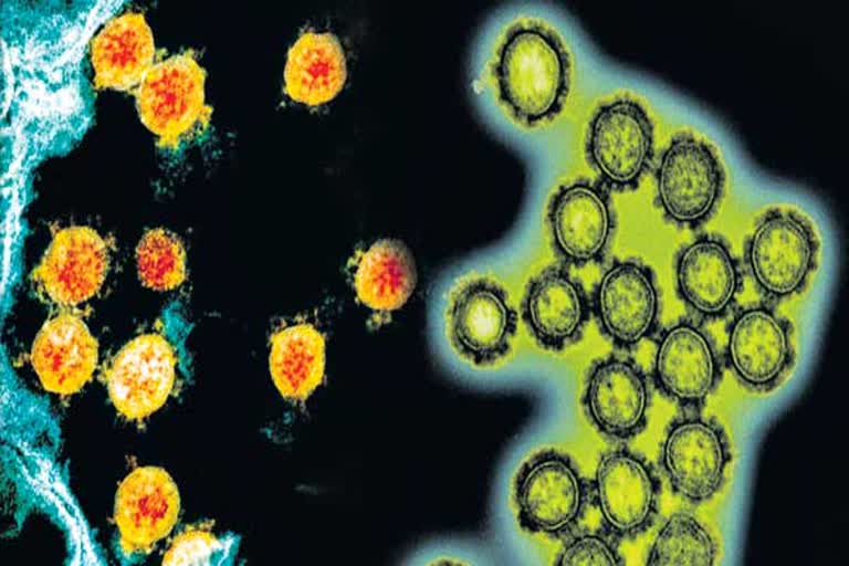 Coronavirus third wave