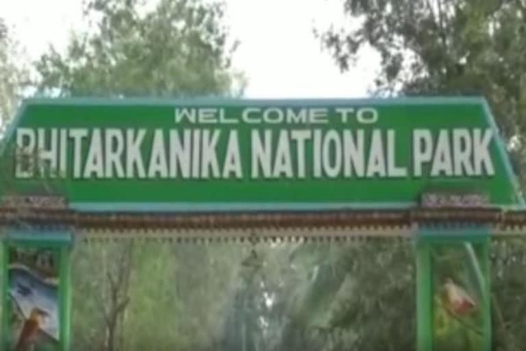 Migratory bird census in Bhitarakanika begins today, National Park reopens for tourist