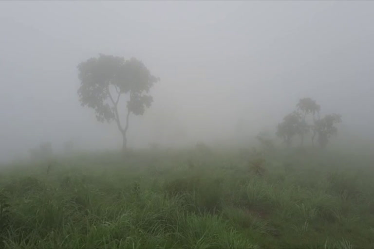 Uppukunnu Aruvipara Mett  Aruvipara Mett tourist place  അരുവിപ്പാറ മെട്ട് വിനോദ സഞ്ചാര കേന്ദ്രം  ഉപ്പുകുന്നിലെ ടൂറിസം കേന്ദ്രങ്ങള്‍