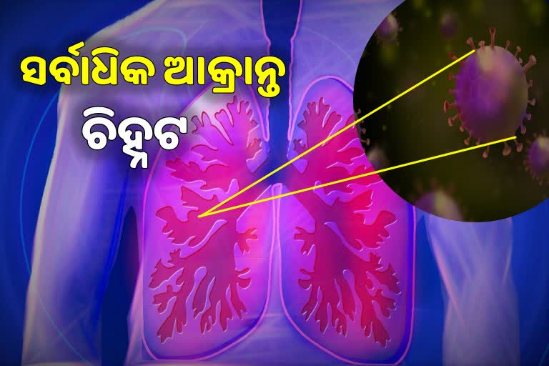 many omicron variant infected detected in odisha in one day