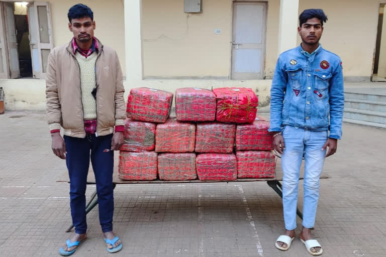 Two smugglers arrested with ganja