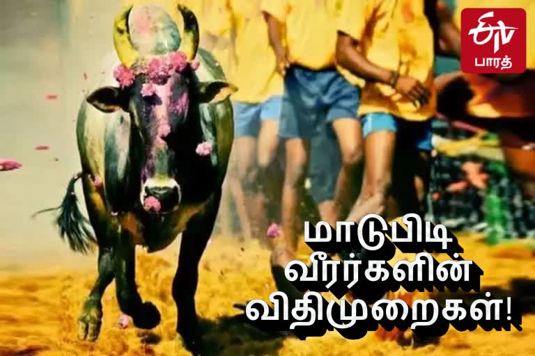 ஜல்லிக்கட்டு