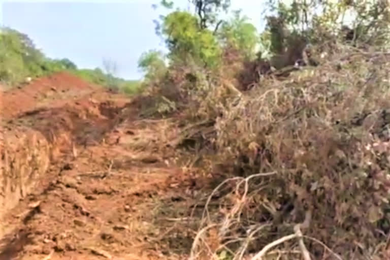 damagundam forest area