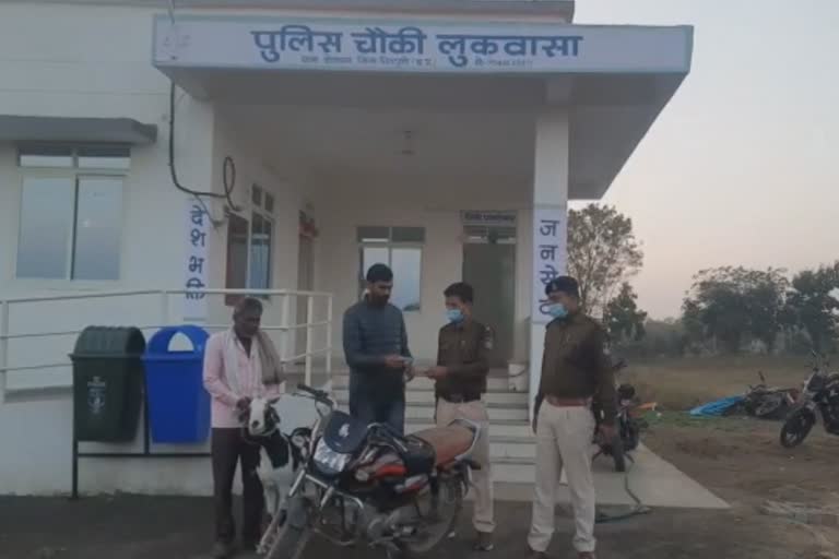 goat in shivpuri police station