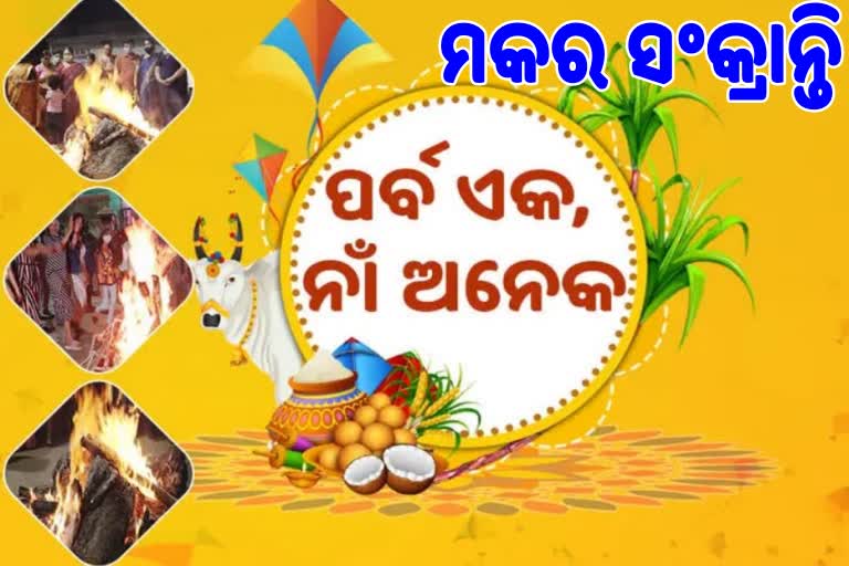 ଆଜି ପବିତ୍ର ମକର ସଂକ୍ରାନ୍ତି ।