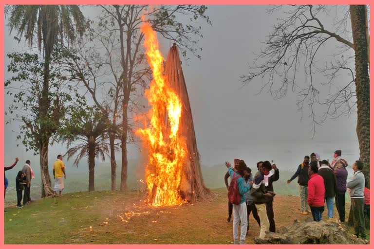 people-celebrating-bhogali-bihu-at-kalgachia